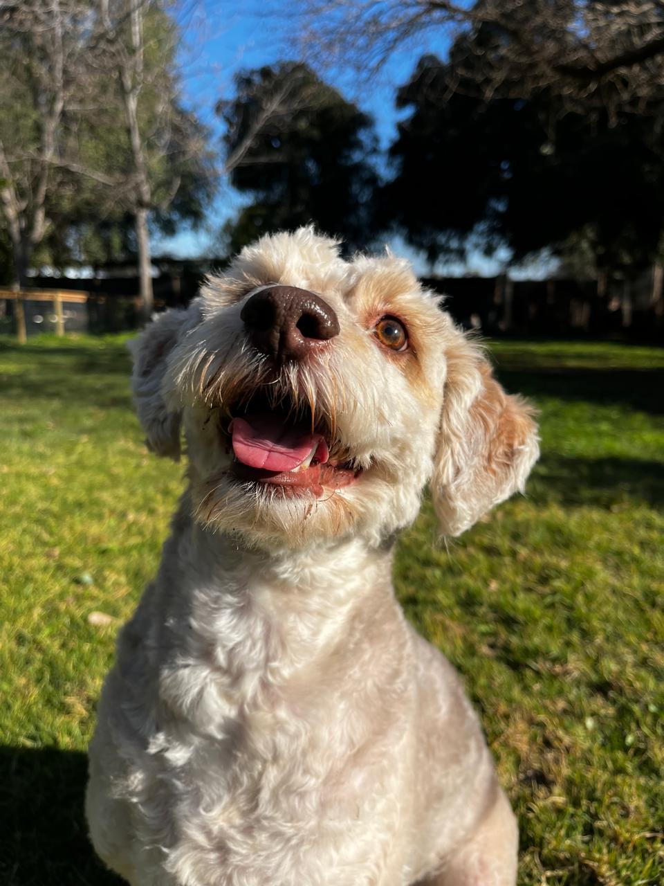 Max